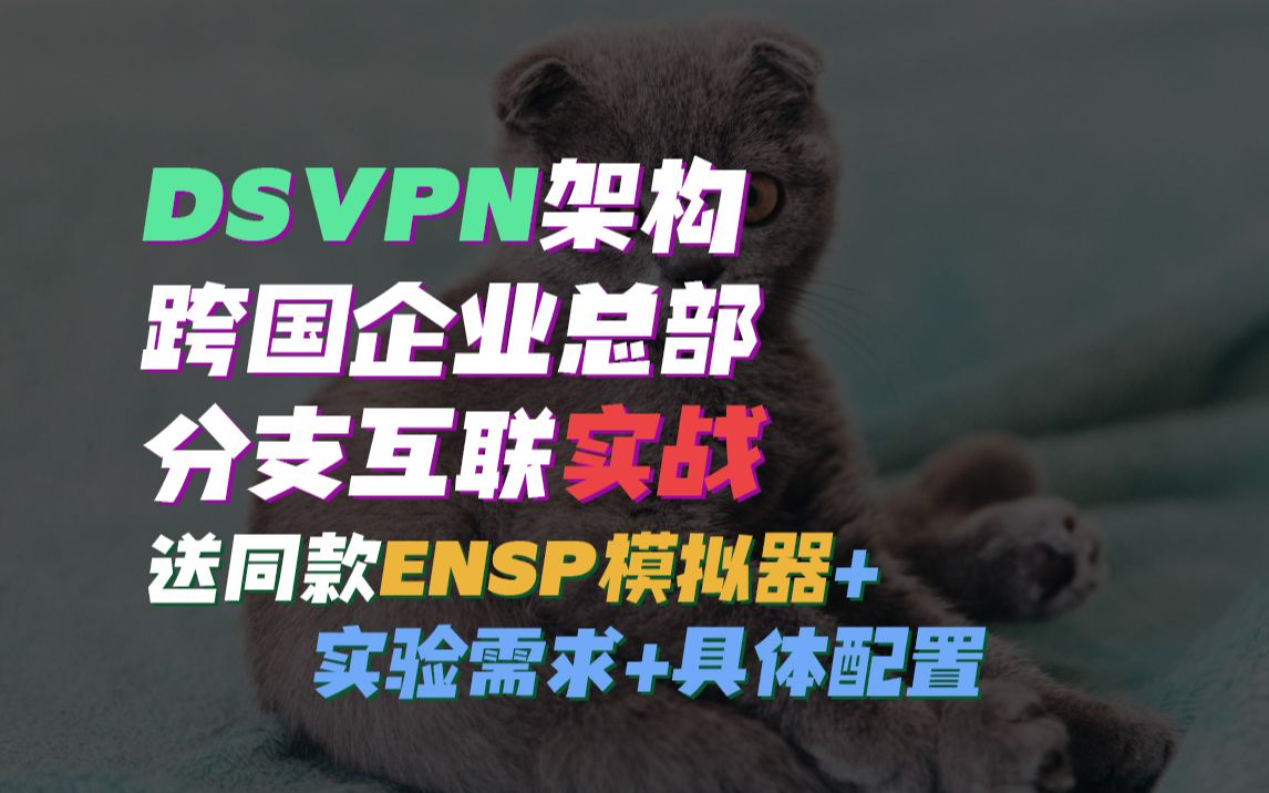 网络工程师实战教程!DSVPN架构跨国企业总部及分支互联实战!哔哩哔哩bilibili