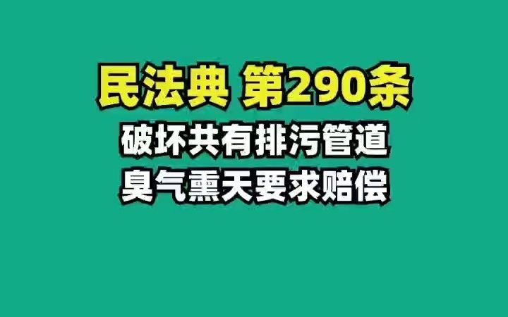 《民法典》第290条 破坏共有排污管道,需要赔偿哔哩哔哩bilibili