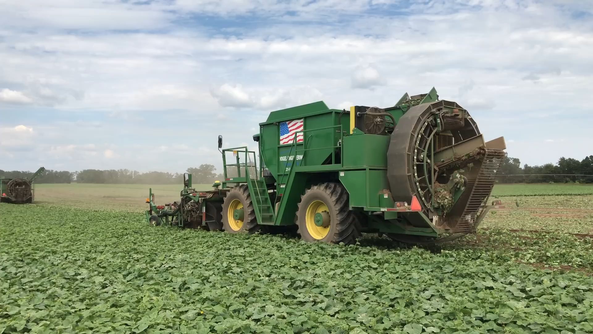 黄瓜机械采收 cucumber harvest