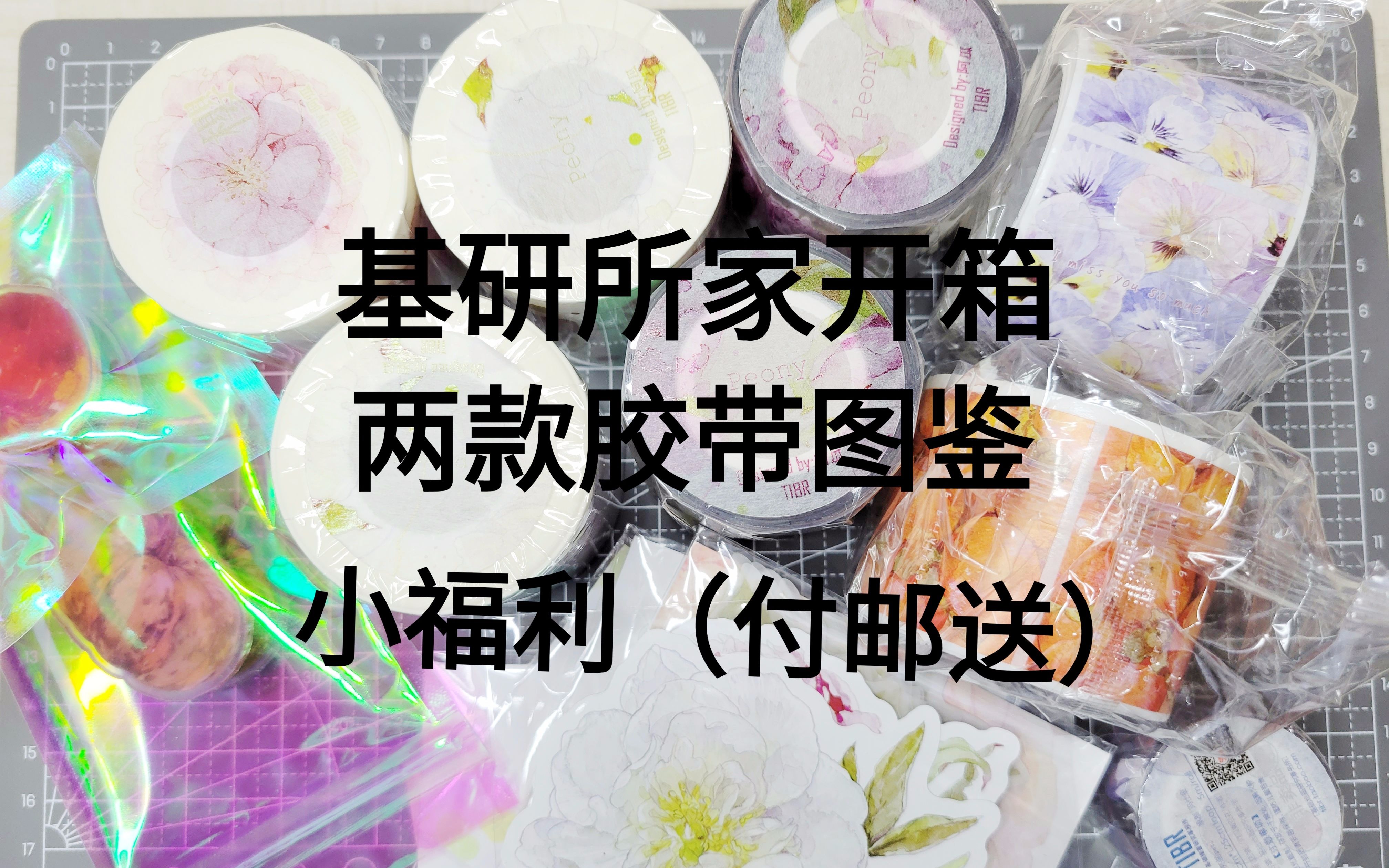 【(已抽)开箱+图鉴+付邮送】基研所家花花主场~喜欢的来试试吧~哔哩哔哩bilibili