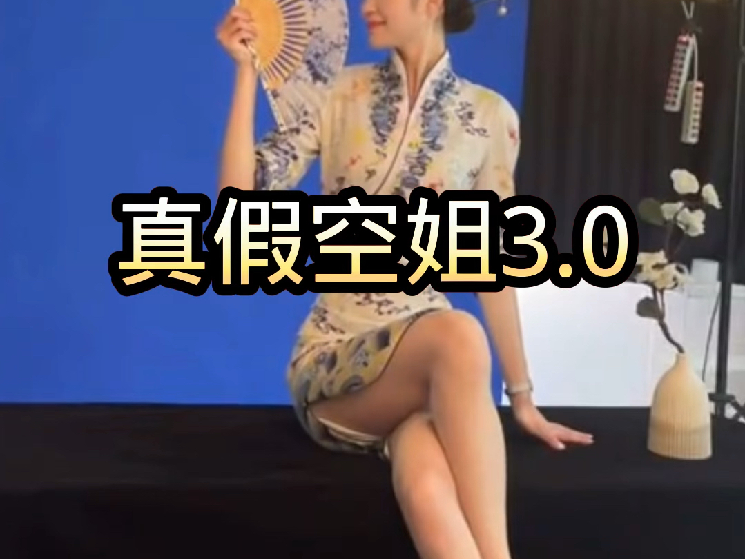 真假空姐3.0哔哩哔哩bilibili