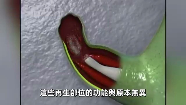 十大最恐怖的不死生物!失去脑袋还能再生,第一名居然近在咫尺!哔哩哔哩bilibili