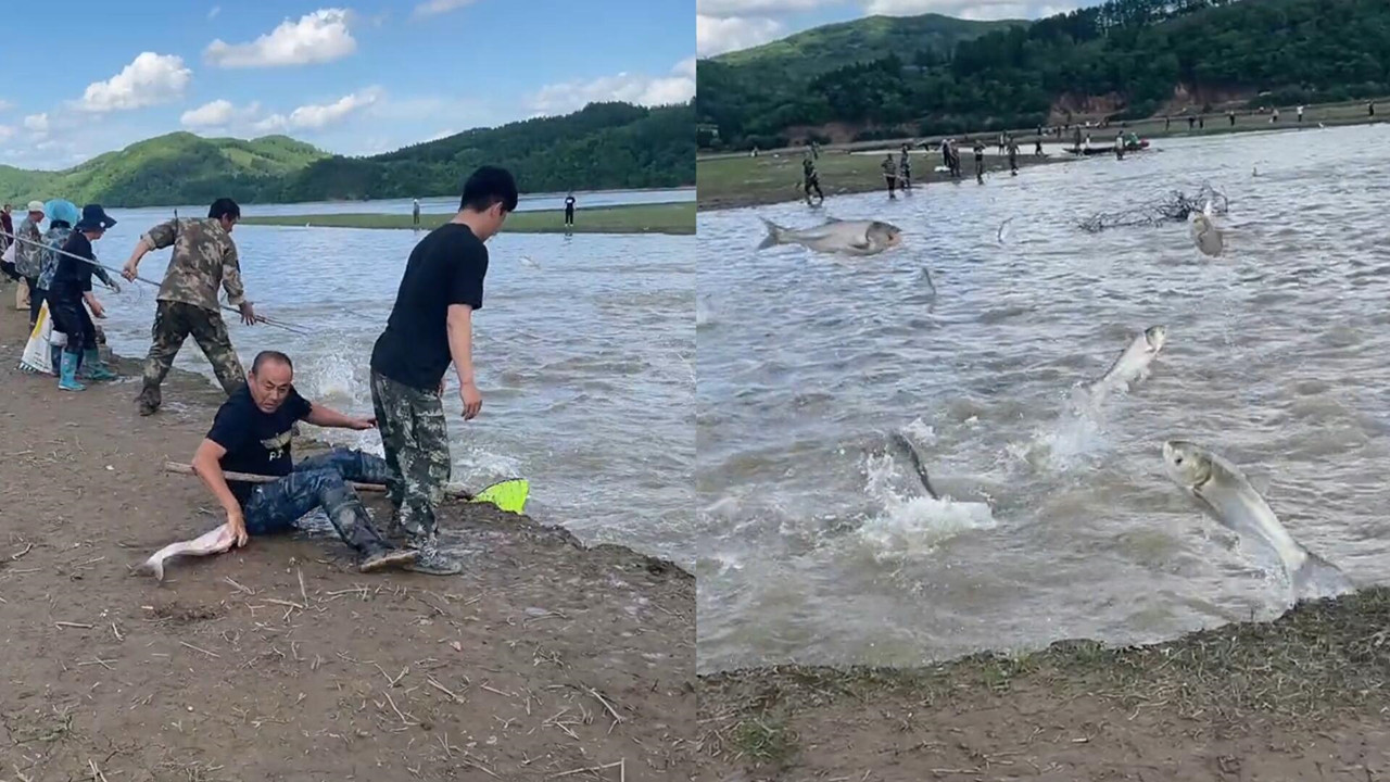 水库涨水后惊现“鲤跃龙门”景观,市民纷纷拿网捕捞,现场超热闹哔哩哔哩bilibili