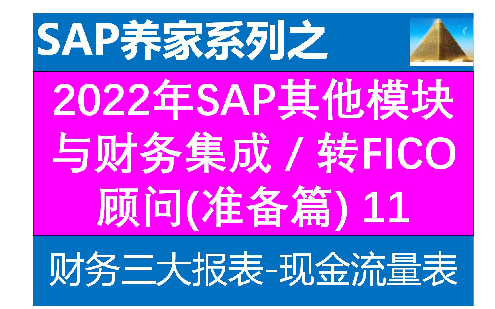 会计基础11现金流量表 SAP FICO SAP S4 FICO SAP ABAP SAP MM SAP SD哔哩哔哩bilibili