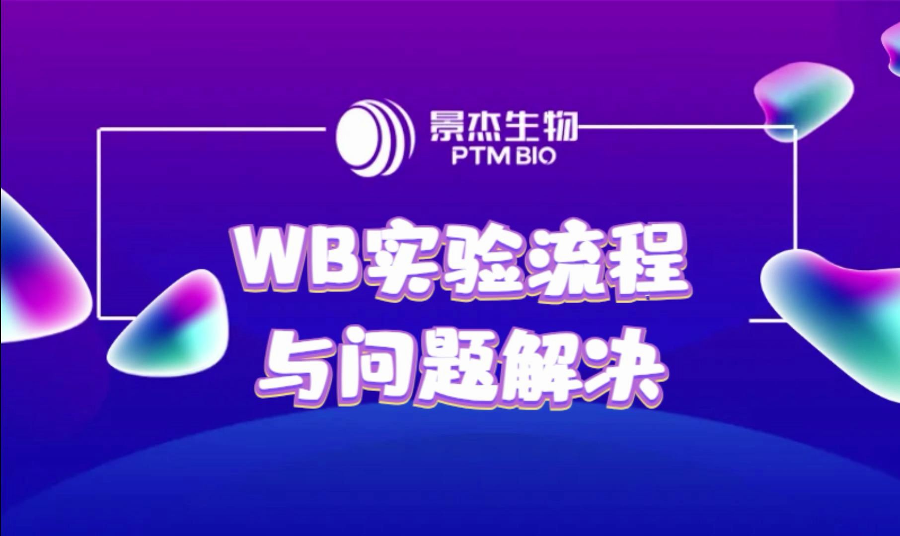 WB实验流程与问题解决哔哩哔哩bilibili