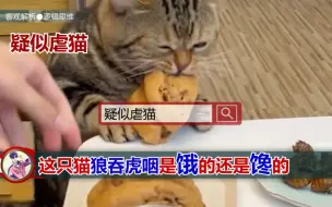 下载视频: 这猫是饿的还是馋的？