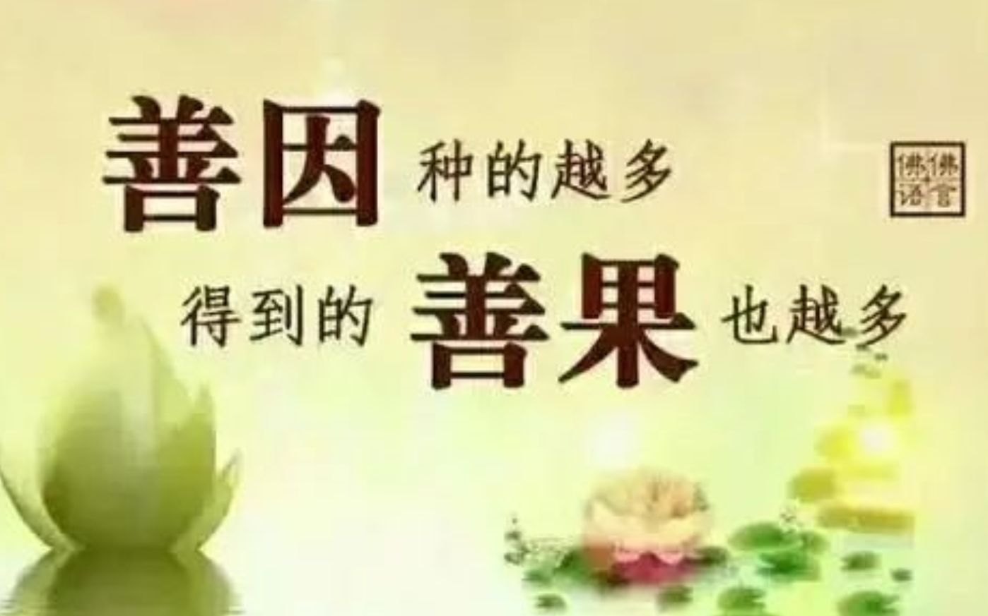 20220420千度户户外探险小亮石林度众生积德行善拍电影纯属虚构