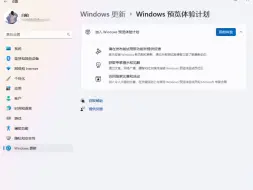 Download Video: 终于把Windows11预览版canary渠道退回正式版，取消预览者，舒服了