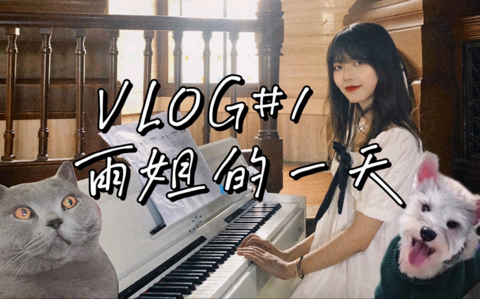 我的一天【雨姐的VLOG】#1哔哩哔哩bilibili