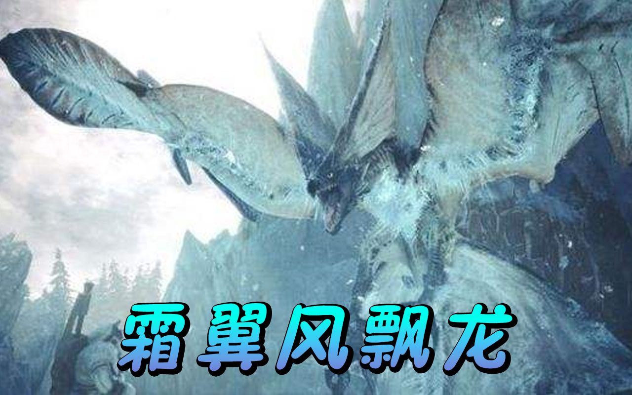 狩猎霜翼风飘龙!