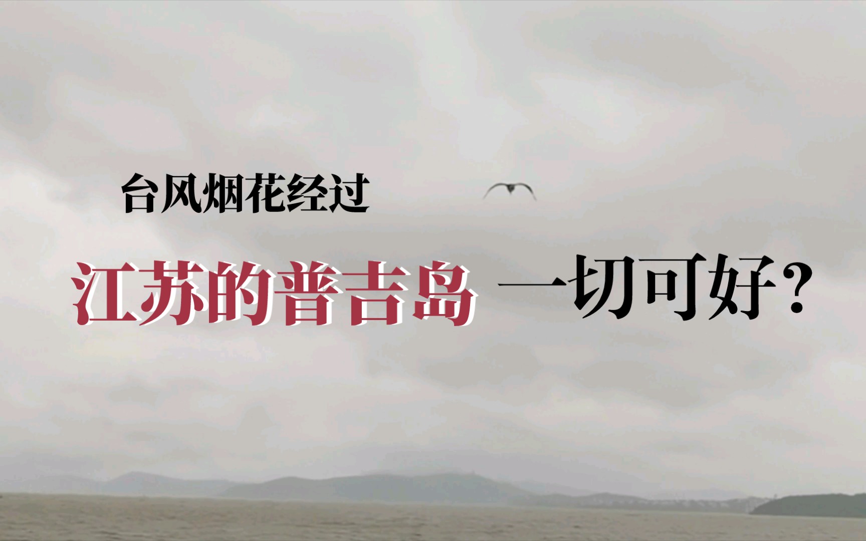 台风烟花经过苏州西山,风雨多大?太湖岛上可好?