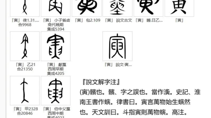 汉字源地支之寅哔哩哔哩bilibili