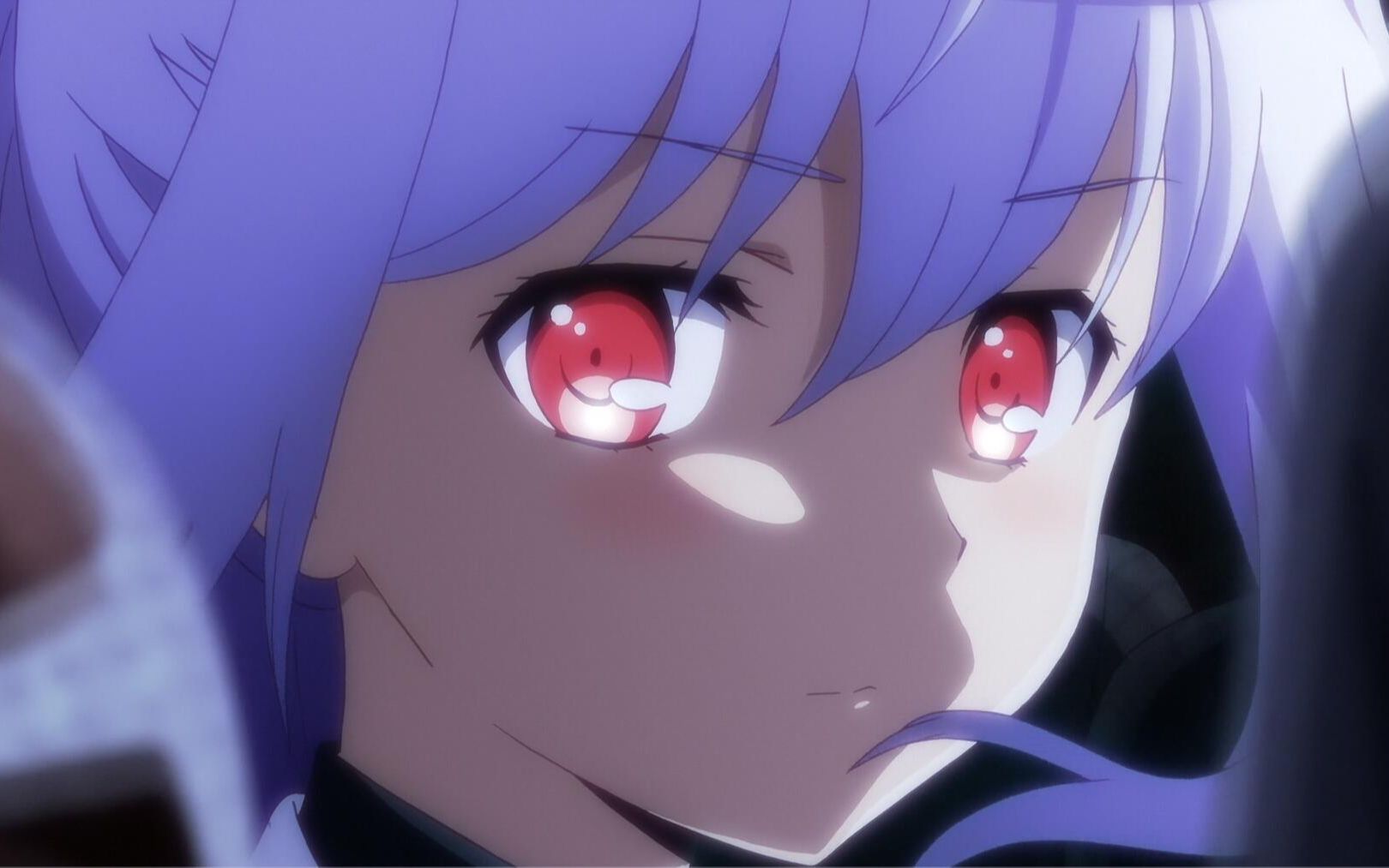 你还记得艾拉吗?【十分钟与你聊聊可塑性记忆】