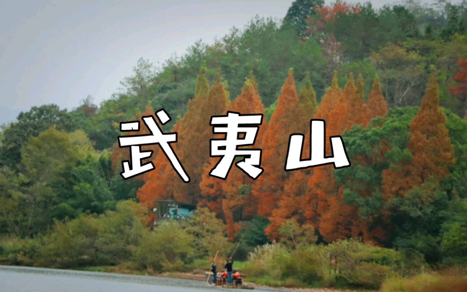 答应我,冬天一定来趟武夷山【山景摄影合集】哔哩哔哩bilibili