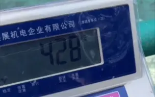 Video herunterladen: 【小象威风】周岁生日宴，曝光了美女的体重428公斤🤣，不胖不胖的，还是不足千金的小公举😊，称重的小宝贝好乖哦@dy象往生活221228