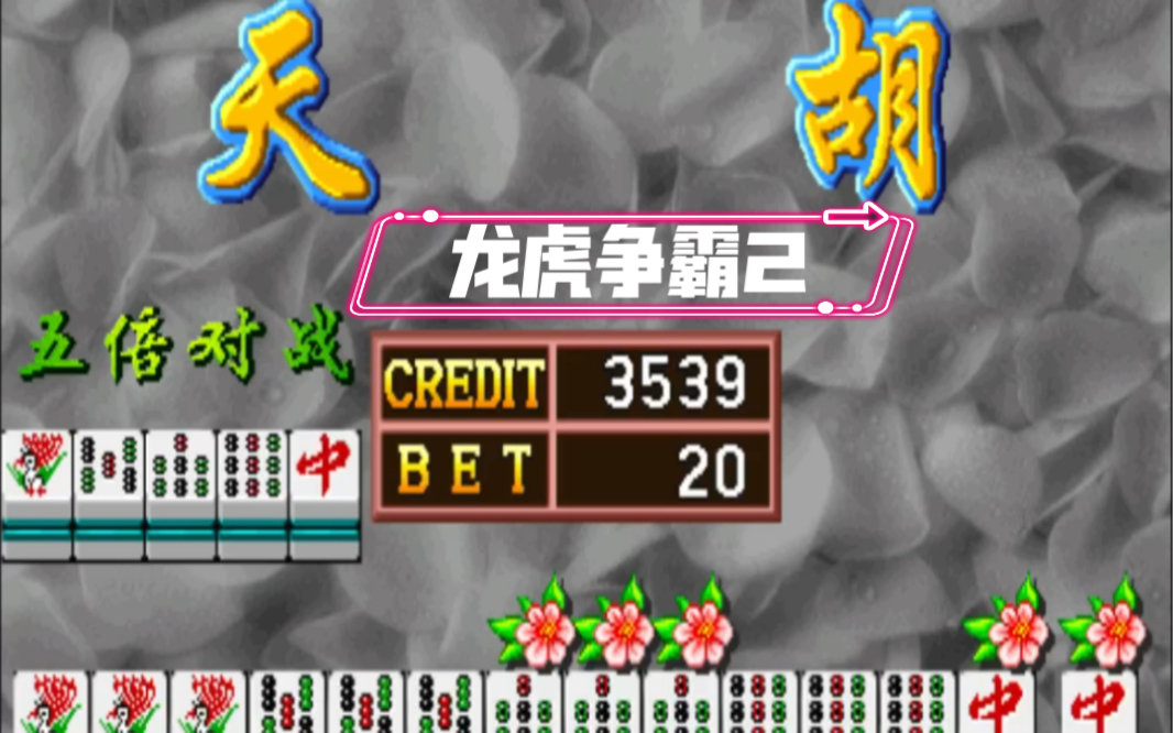 活动  龙虎争霸2 (天胡)你能行?