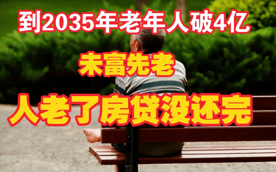 2035年60岁及以上老人破4亿,重度老龄化,房子还会永恒吗.哔哩哔哩bilibili