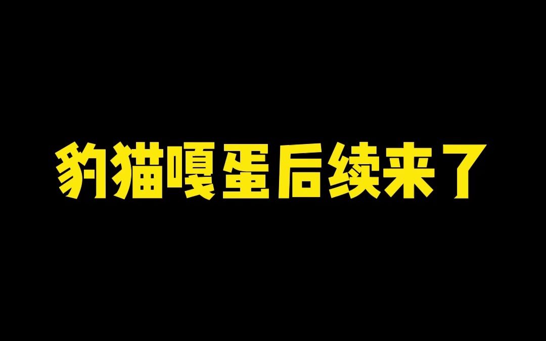 豹猫事件(2)哔哩哔哩bilibili