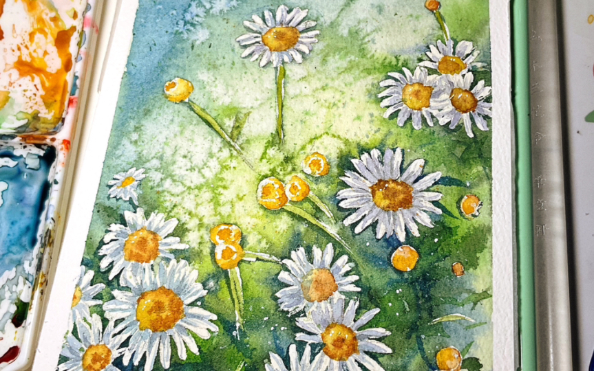 【水彩】小雏菊daisy(72260766`7226)17