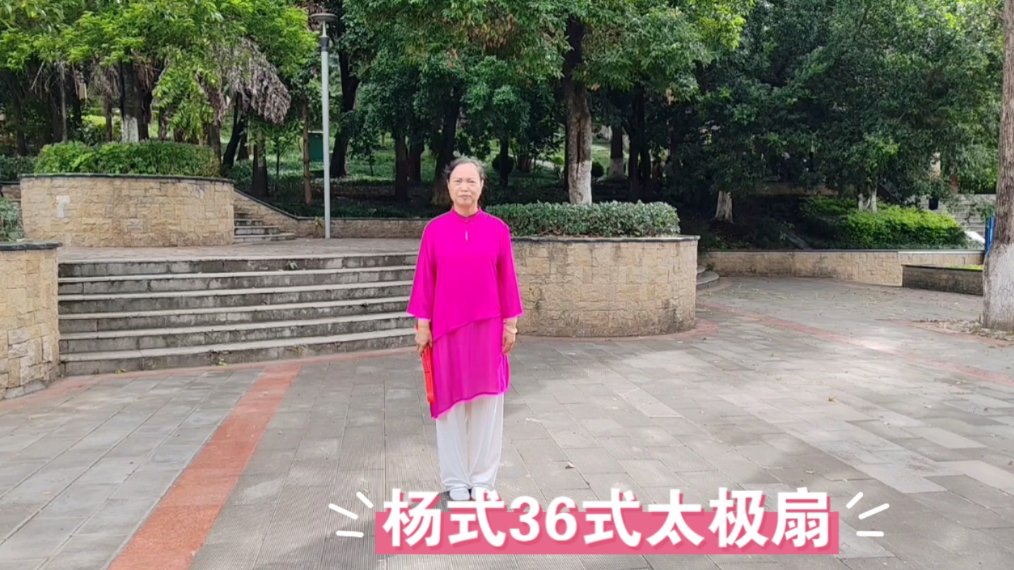 杨式72式太极扇图片