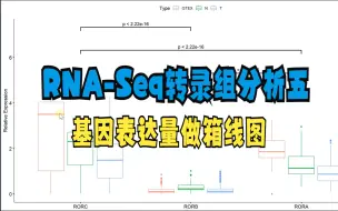 Download Video: 【RNA-Seq转录组分析五】R语言作基因表达箱线图