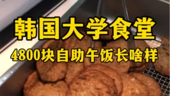 韩国大学食堂4800元自助午饭长啥样？