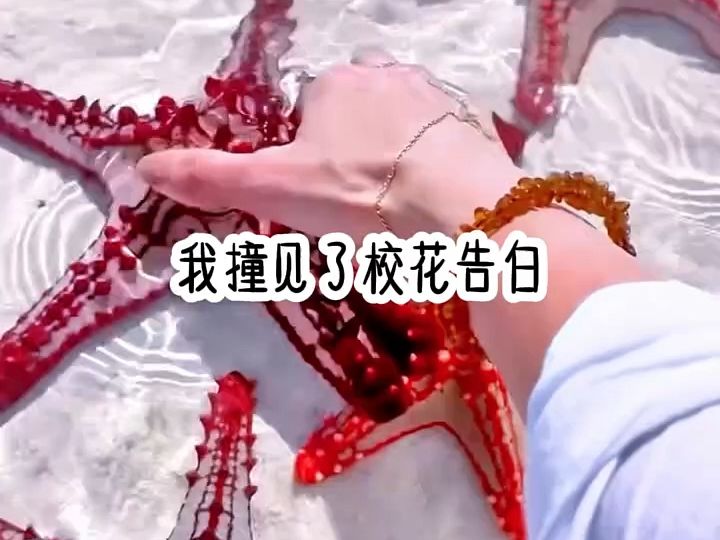 知乎《如画小包》哔哩哔哩bilibili