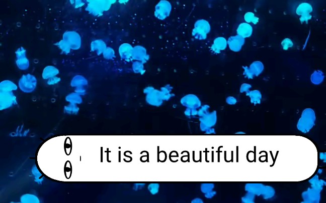 [图]It is a beautiful day!