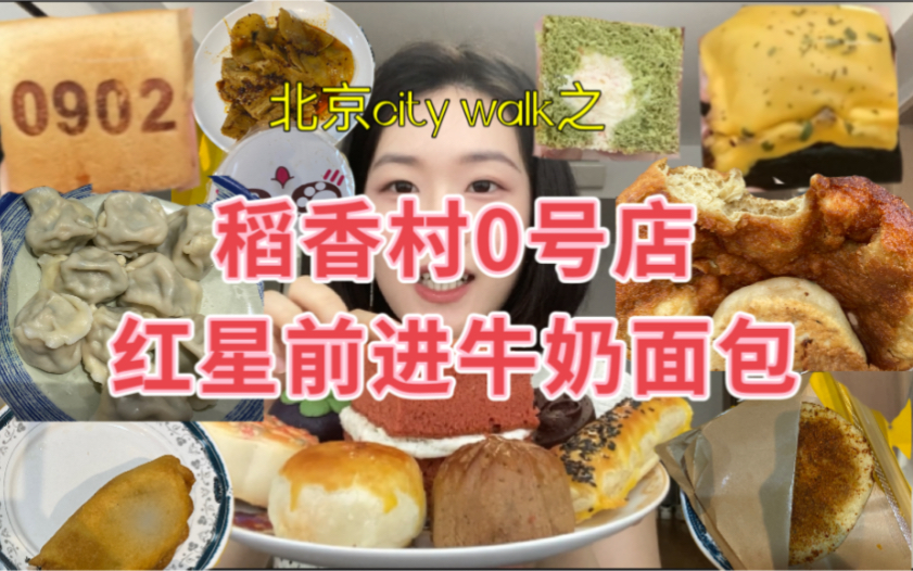 打卡两大网红店!!北京city walk之稻香村零号店/红星前进牛奶面包哔哩哔哩bilibili