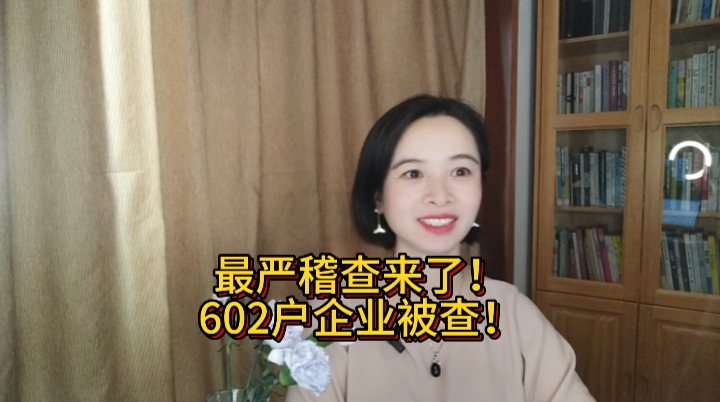 最严稽查来了!602户企业被查!哔哩哔哩bilibili