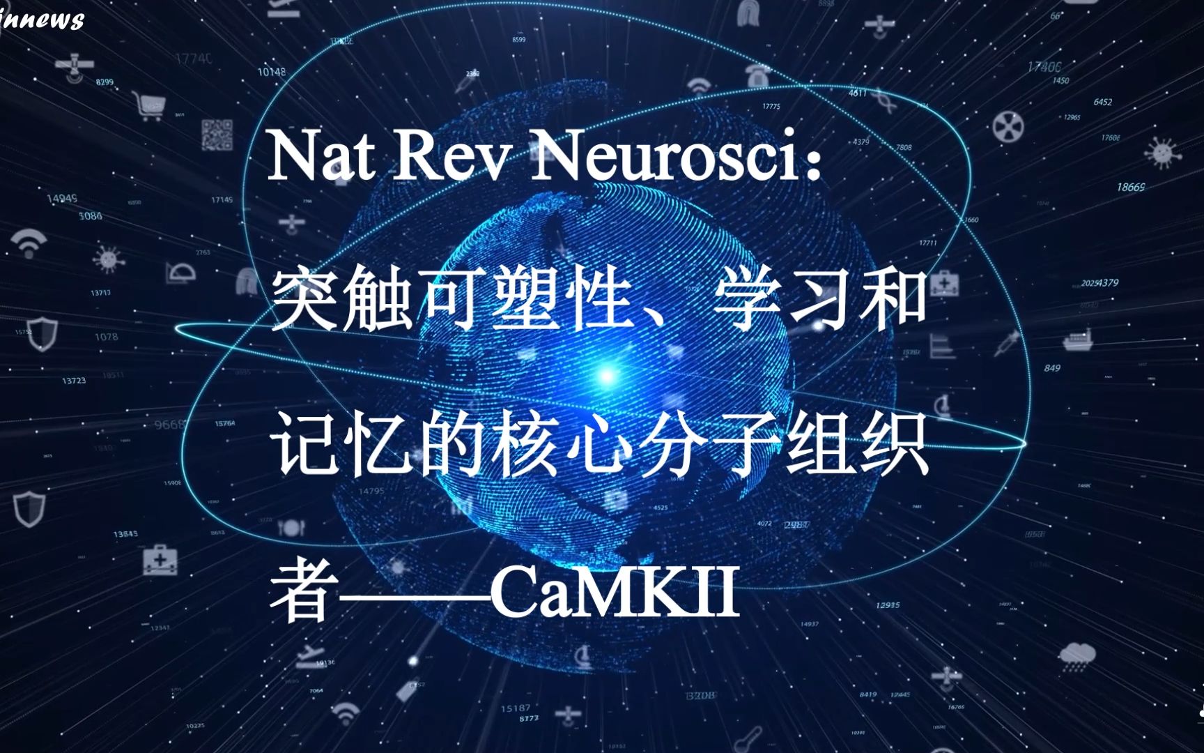 #Brainnews 【前沿快讯】Nat Rev Neurosci最新综述:突触可塑性、学习和记忆的核心分子组织者——CaMKII哔哩哔哩bilibili