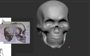 Download Video: 学习人物制作第一步，先学骷髅头，学完在学肌肉，然后在去雕刻！！！