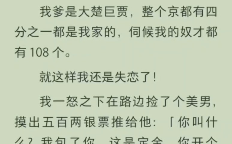 我爹是大楚富贾,整个京都有四分之一都是我家的,就这样,失恋的我花钱买了好美男哔哩哔哩bilibili