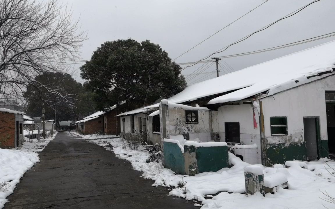 湘潭市下摄司半边街迎建村雪景哔哩哔哩bilibili