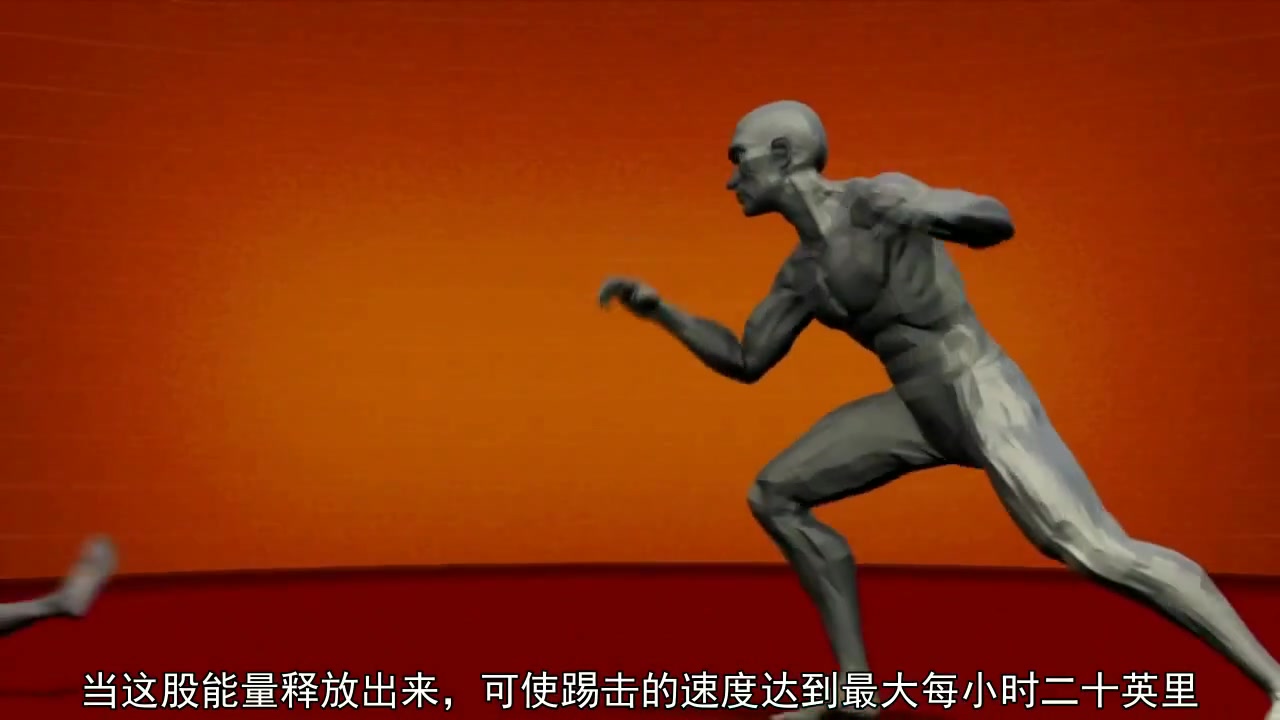 人体武器:威亚飞踢
