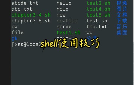 shell使用技巧哔哩哔哩bilibili