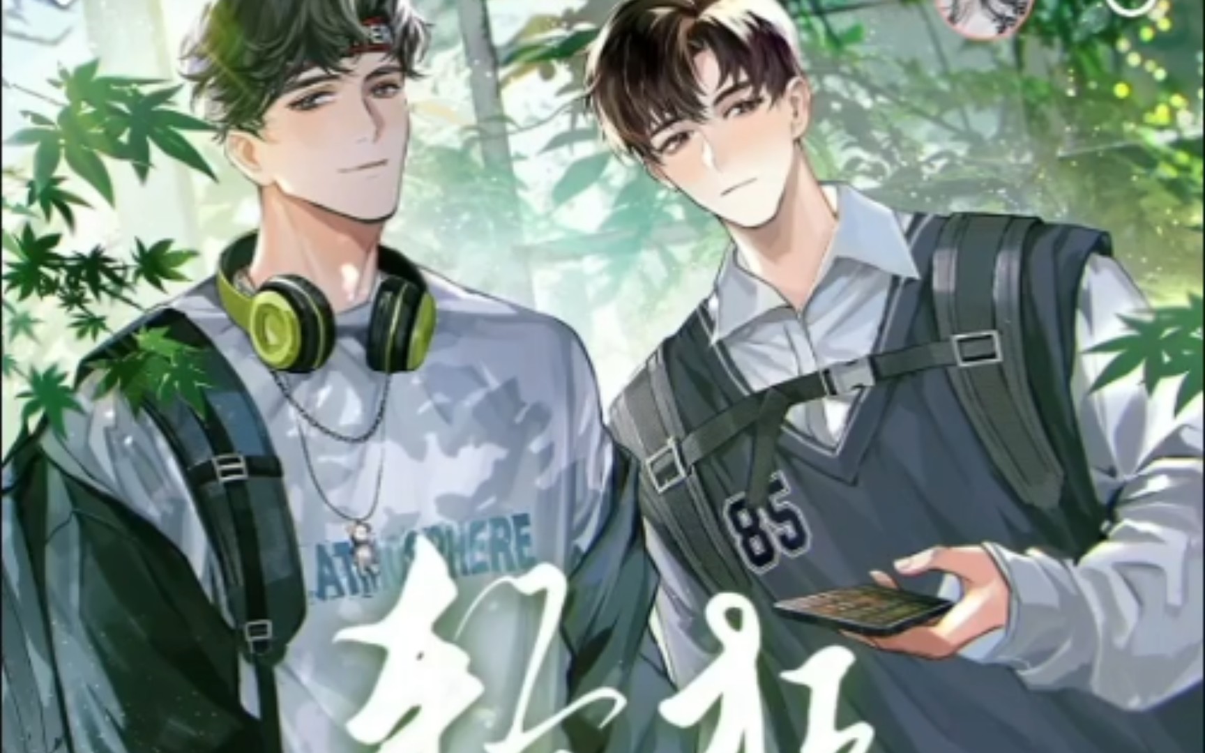 轻狂广播剧娇弱忱公主