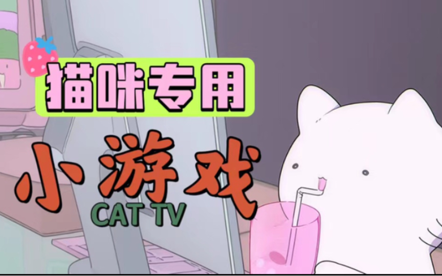 【高帧率猫片】全自动逗猫游戏 解放铲屎官双手 养猫必备好物 cat tv