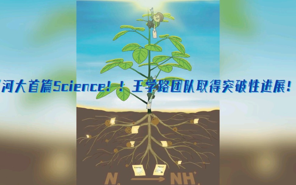 河大首篇《Science》的背后 王学路教授接受《河南日报》记者专访哔哩哔哩bilibili