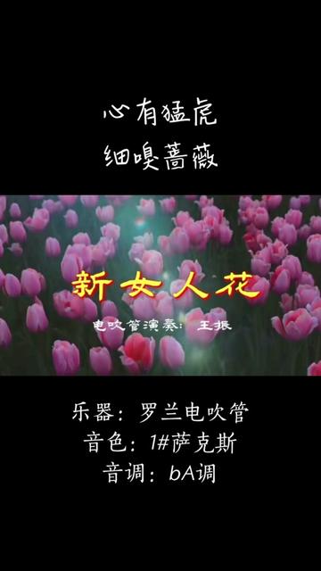 《新女人花》,香醉迷人!