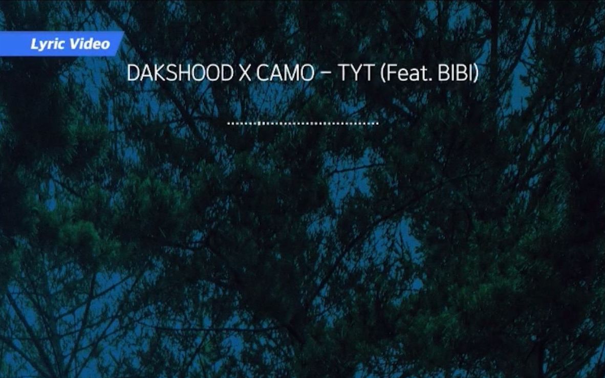 【BIBI CUT】TYT(Feat.BIBI)DASKHOOD X CAMO // 各种风格都有的BIBI哔哩哔哩bilibili