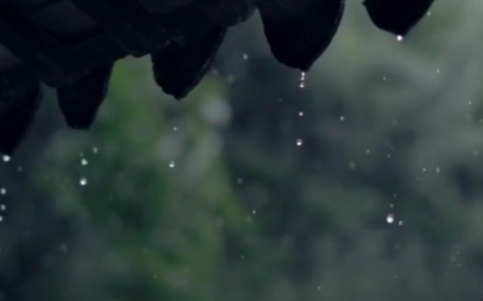 [图]烟雨江南，美极了！