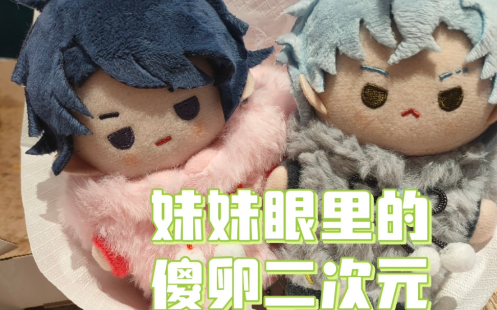 妹妹视角的傻卵二次元(我)