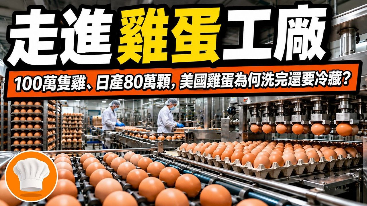 一座蛋鸡场日产超80万颗，分级机每分钟检验上万颗蛋：从自动集蛋、照蛋、称重到清洗装盒，现代鸡蛋是怎么量产的？【超级后厨】