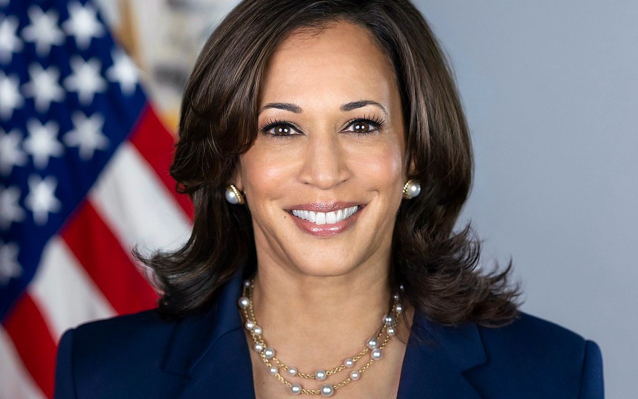 哈里斯or贺锦丽?美国副总统历史上第一位女性!