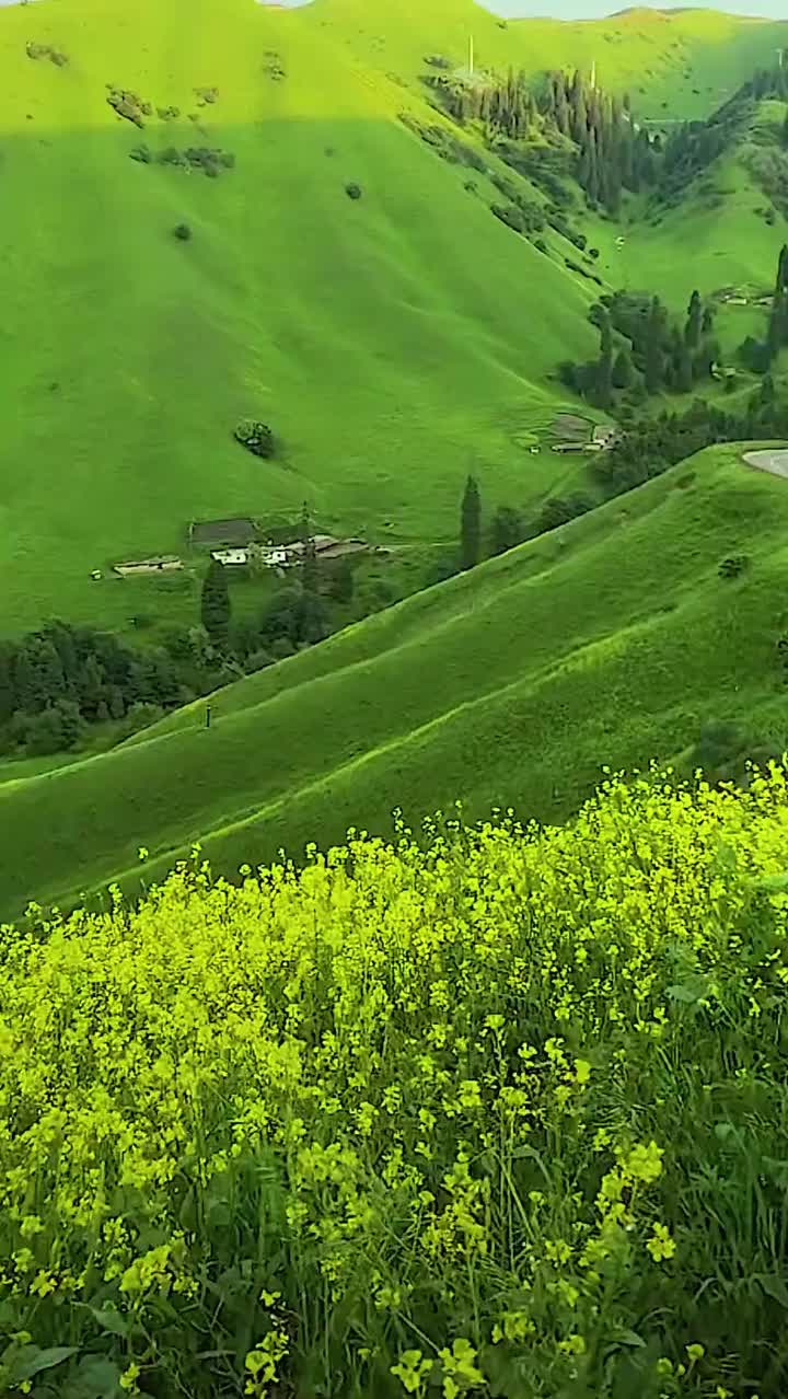 地图标注,网红景点地图标记多个地点,这不是国外,这是我们新疆哔哩哔哩bilibili