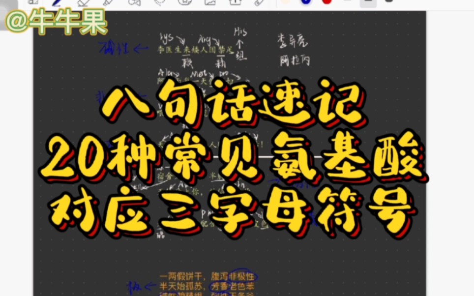 【生物化学】八句话快速记忆常见20种氨基酸对应三字母符号哔哩哔哩bilibili