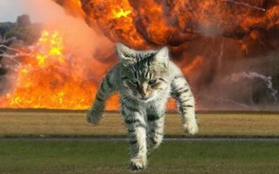 mmd模型配布真猫从不回头看爆炸