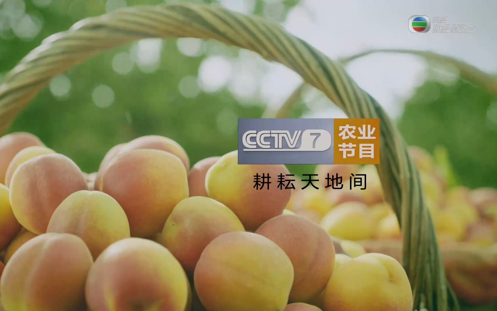 【越来越CCTVB的TVB】《致富经》(老版本)哔哩哔哩bilibili