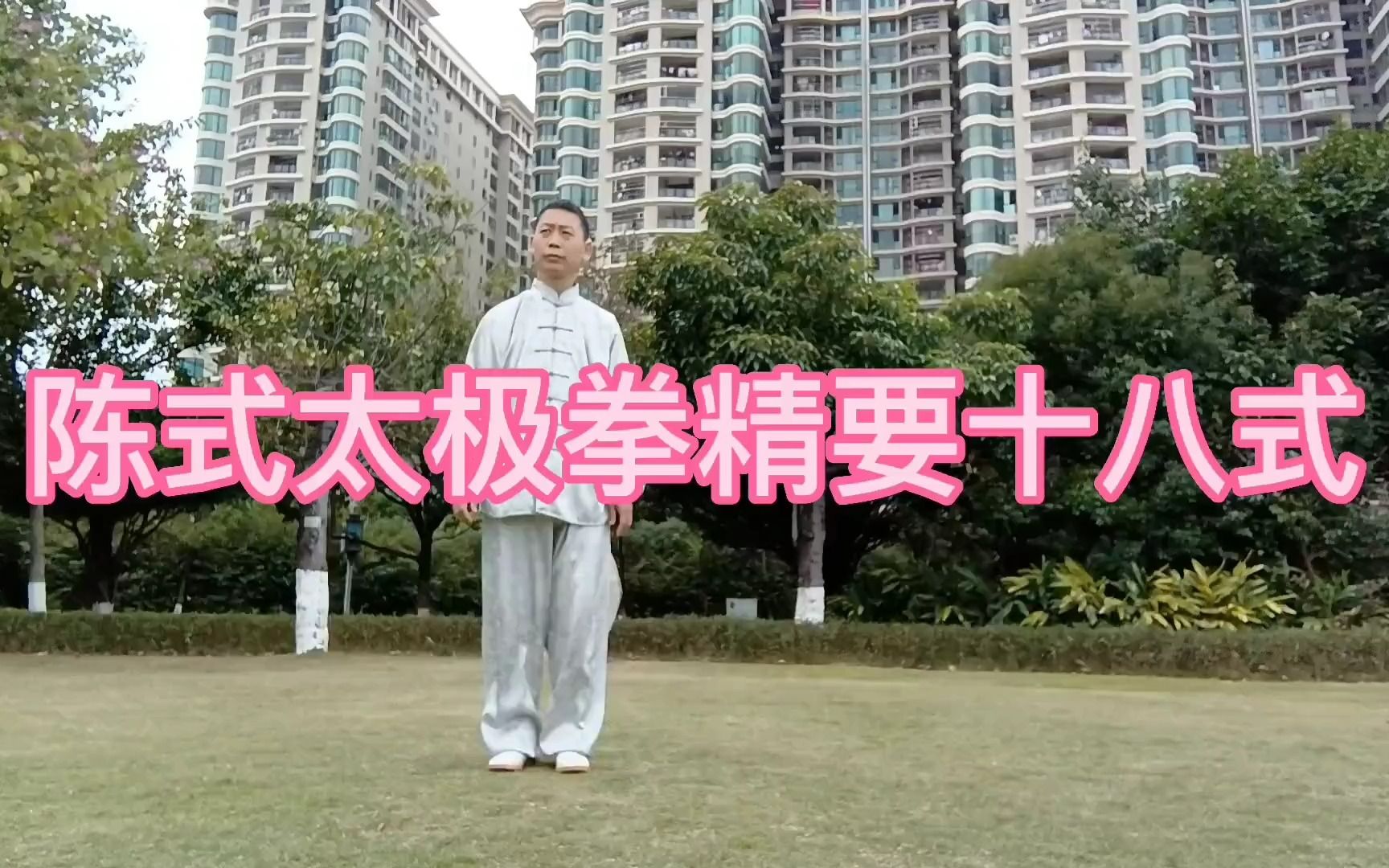 分享陈式太极拳精要十八式第18式:收势(动作分解)!